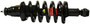 Suspension Strut and Coil Spring fits 2002-2006 Honda CR-V  MONROE SHOCKS/STRUTS