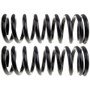 MOOG Chassis Products Coil Spring Set 80910