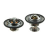 Motorad Engine Coolant Thermostat P/N:447448