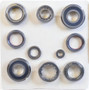 SKF Manual Transmission Bearing and Seal Overhaul Kit P/N:STK355