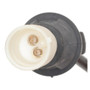 Standard Ignition ABS Wheel Speed Sensor P/N:ALS1424