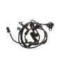 Standard Ignition ABS Wheel Speed Sensor P/N:ALS853