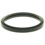 Engine Coolant Thermostat Seal Motorad MG172