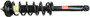 Suspension Strut and Coil Spring fits 2004-2008 Acura TSX  MONROE SHOCKS/STRUTS