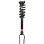 Monroe Shocks & Struts Suspension Strut and Coil Spring Assembly