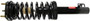 Monroe Shocks & Struts Suspension Strut and Coil Spring Assembly P/N:371377L
