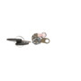 Standard Ignition Door Lock Kit P/N:DL-107