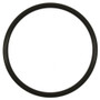 Standard Ignition Fuel Pump O-Ring P/N:GDR401