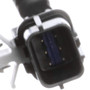Standard Ignition Park Assist Camera P/N:PAC136