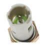 Standard Ignition Engine Oil Pressure Switch P/N:PS-214