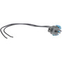 Standard Ignition Back Up Light Switch Connector,Horn Connector,Oil Pressure Switch Connector P/N:S-578