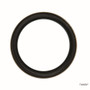 Timken Engine Crankshaft Seal P/N:710551