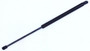 Liftgate Lift Support fits 2015-2019 Kia Sedona  TUFF SUPPORT