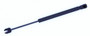 Hood Lift Support-4 Door, Sedan Tuff Support 613876
