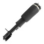 Unity Automotive Air Suspension Strut P/N:28-174002