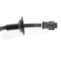 Oxygen Sensor-OE Replacement Walker Products 350-34390
