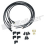 Walker Products Spark Plug Wire Set P/N:924-1551