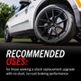 Rotor & Brake Pad Kit