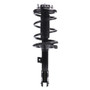 PRT 920138 Shocks and Struts - Suspension Strut and Coil Spring Assembly, Front