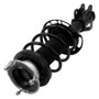 PRT Suspension Strut and Coil Spring Assembly P/N:920487