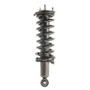 Shock / Strut & Coil Spring Assembly