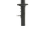 PRT 930498 Shocks and Struts - Suspension Strut Assembly, Front