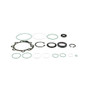 Sunsong Steering Gear Seal Kit P/N:8401450