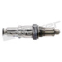 Oxygen (O2) Sensor