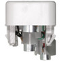 Tail Lamp Socket / Connector Plate