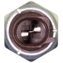 Oil Pressure Sender / Switch