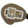 Brake Light Switch