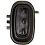 Idle Air Control (IAC) Valve