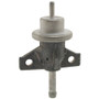 Fuel Injection Pressure Regulator