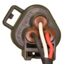 Camshaft Position Sensor