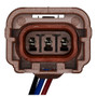 Speed Sensor