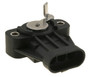 Throttle Position Sensor (TPS)
