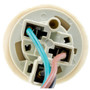Tail Lamp Socket / Connector Plate