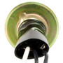 Tail Lamp Socket / Connector Plate