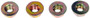 Dorman Nut P/N:982-006D