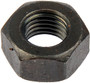 HEX NUT