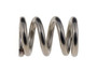 Bolt / Spring