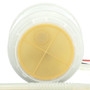 Delphi Fuel Pump and Strainer Set P/N:FE0719
