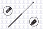 Focus Auto Parts Hood Lift Support P/N:86249