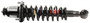 Monroe Shocks & Struts Suspension Strut and Coil Spring Assembly P/N:171373R