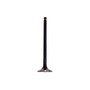 DNJ Engine Exhaust Valve P/N:EV489