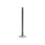 DNJ Engine Intake Valve P/N:IV121