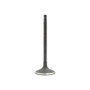 DNJ Engine Intake Valve P/N:IV638
