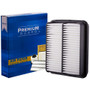 Premium Guard Engine Air Filter P/N:PA5219