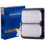 Premium Guard Engine Air Filter P/N:PA6139