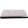 Premium Guard Engine Air Filter P/N:PA8171